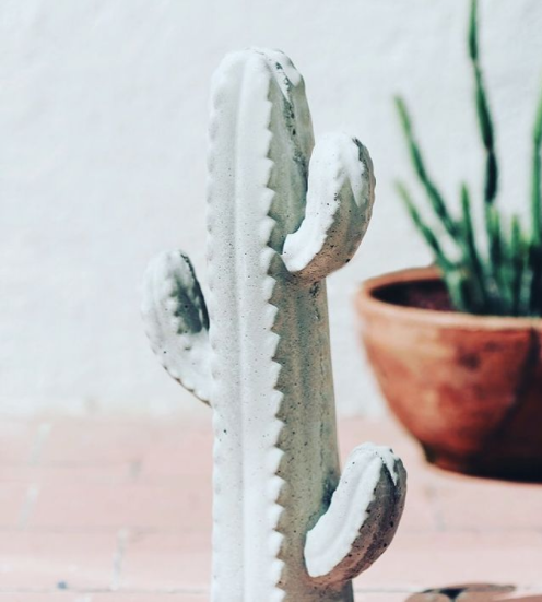 Escultura De Cactus Decorativo
