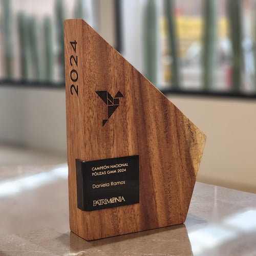 Reconocimiento corporativo asimétrico de madera sustentable - Pirinola Concept