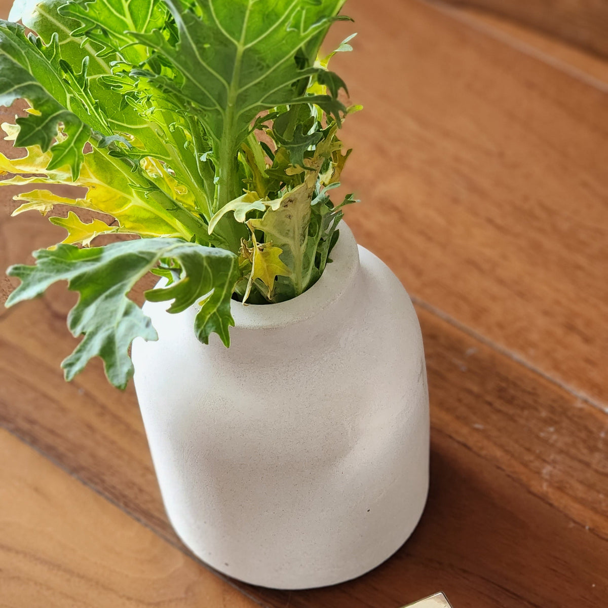 Jarrón Redondo de Concreto · Pieza Escultórica para Decoración