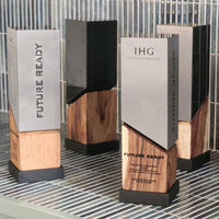 Trofeo Vanguardia · Reconocimiento de Aluminio y Madera Sólida