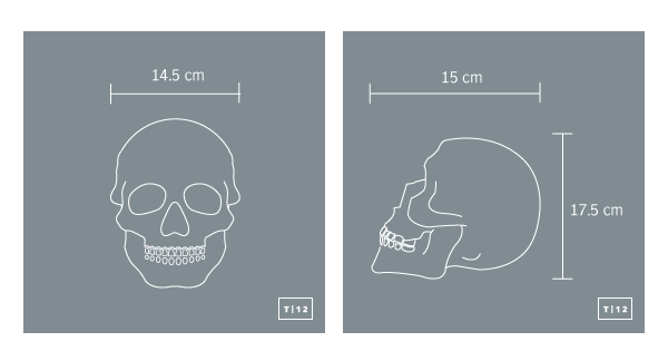 Real Concrete Skull