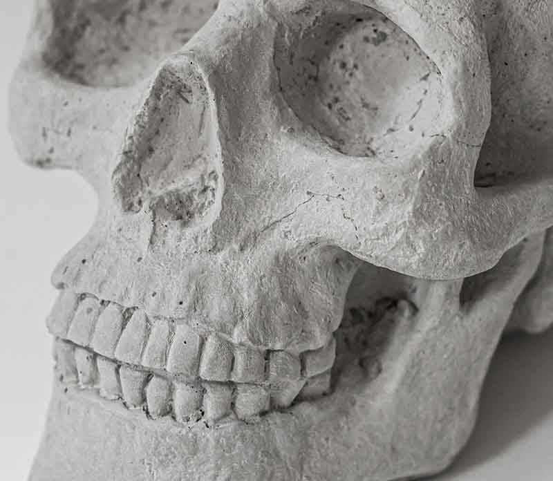 Real Concrete Skull