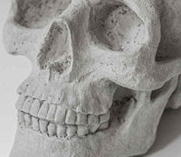 Real Concrete Skull