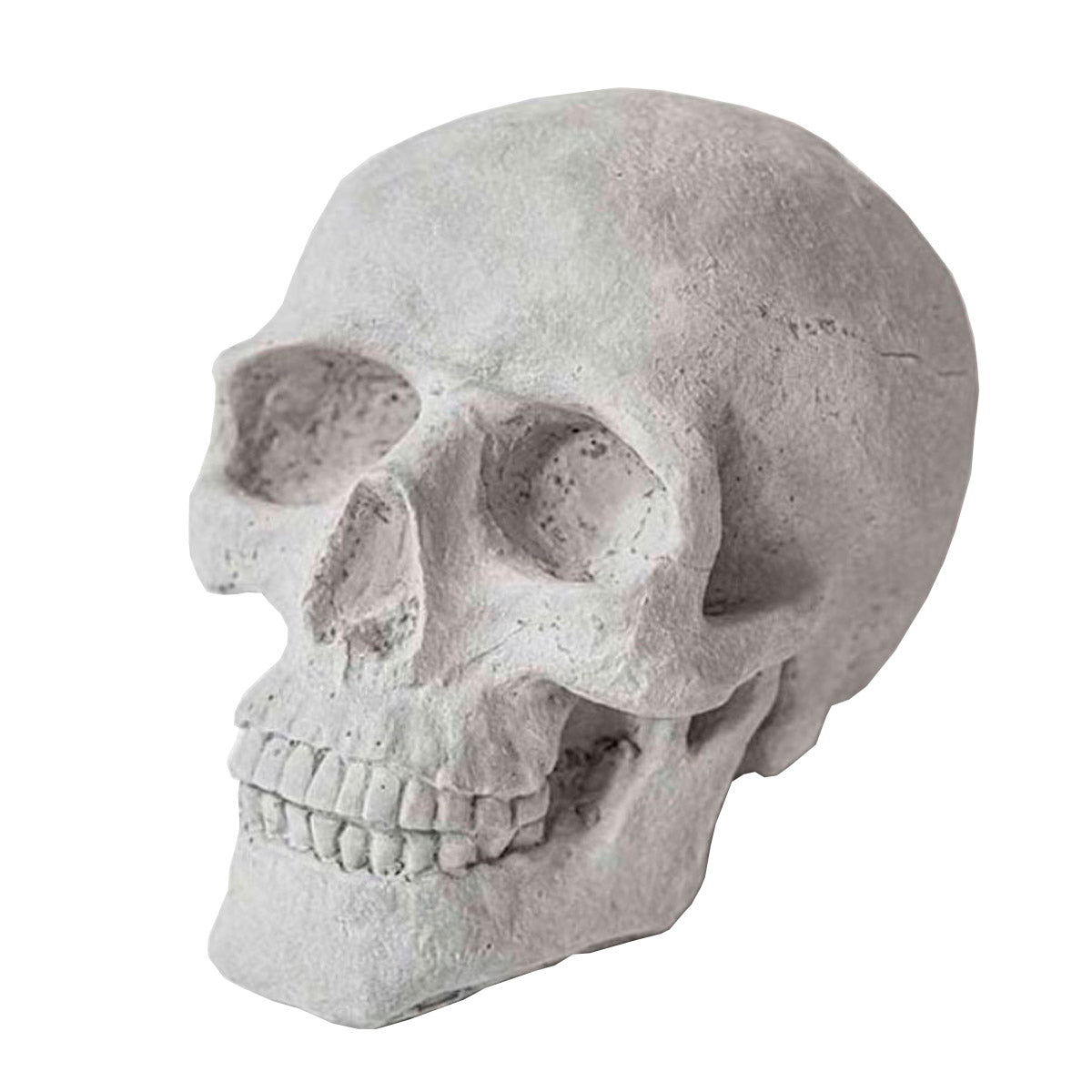 Real Concrete Skull