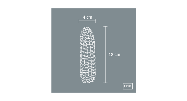 Figura Decorativa Elote De Concreto