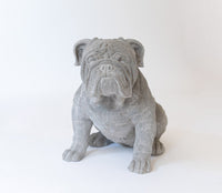 Escultura De Perro Bulldog Tamaño Real