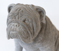 Life Size Bulldog Dog Sculpture